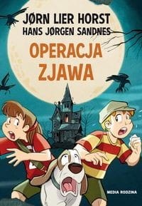 Biuro detektywistyczne nr 2 (tom 10) Operacja Zjawa