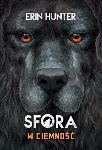 Sfora (tom 3) W ciemność