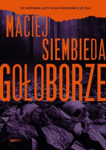 Gołoborze