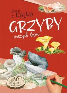 Grzyby naszych lasów Zeszyt z kalką